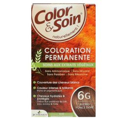 Color & Soin coloration permanente 6G blond foncé doré