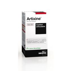 Artixine 56 gélules